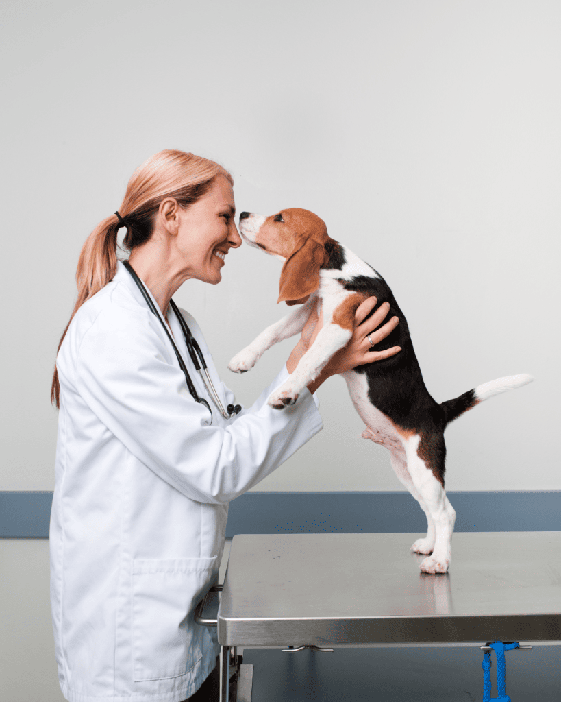 how to find a great veterinarian (3)