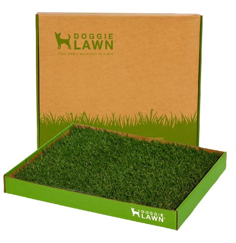 DoggieLawn Real Grass Puppy Pee Pads- 24 x 20 Inches - Perfect Indoor Litter Box for Dogs - No Mess,