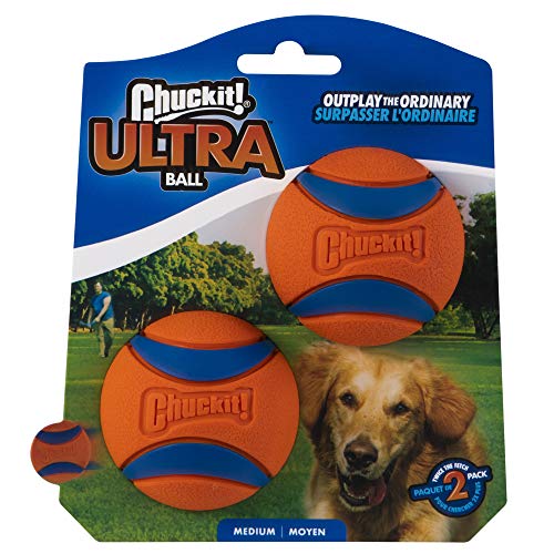 ChuckIt Balls