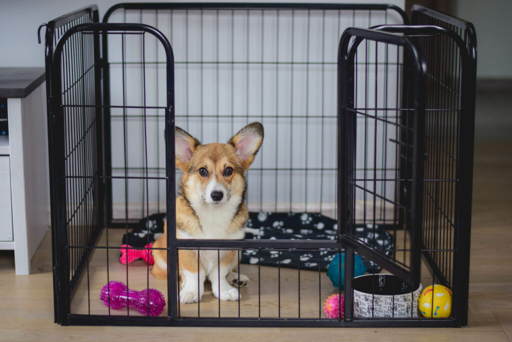 play pen used in crate training