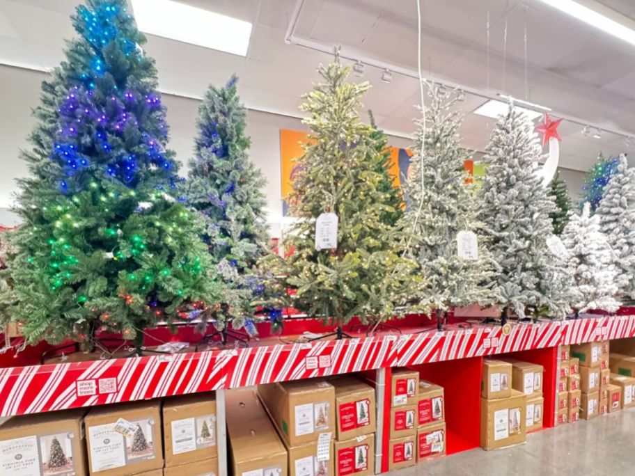 Wondershop Christmas Trees