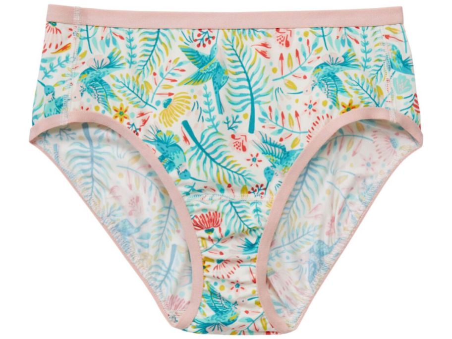 A pair of women's cotton briefs